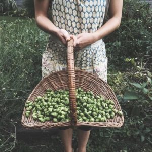 Hops and Harvest