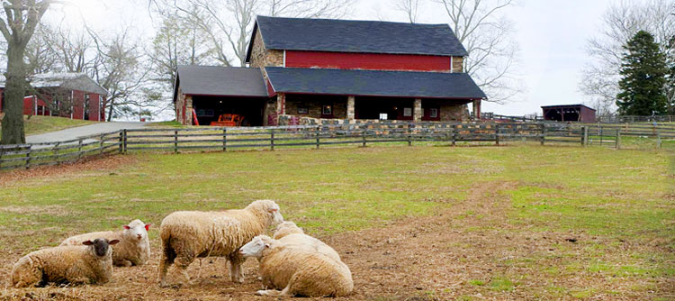 Coverdale Farm