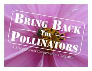 Bring Back Pollinators
