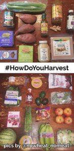 How Do You Harvest