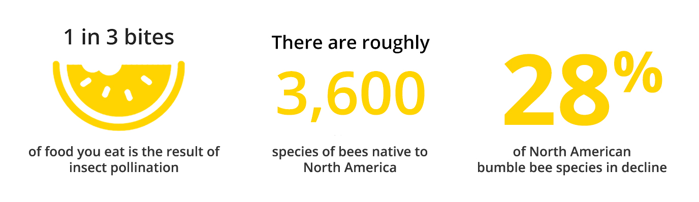 Pollinator Facts