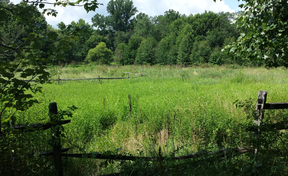 Chandler Mill Nature Preserve