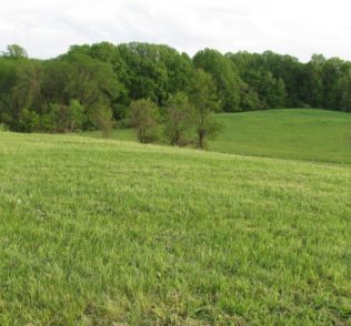 Stateline Woods Preserve