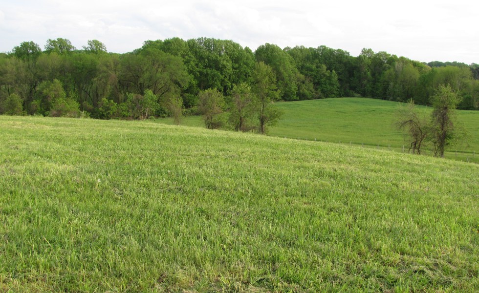 Stateline Woods Preserve