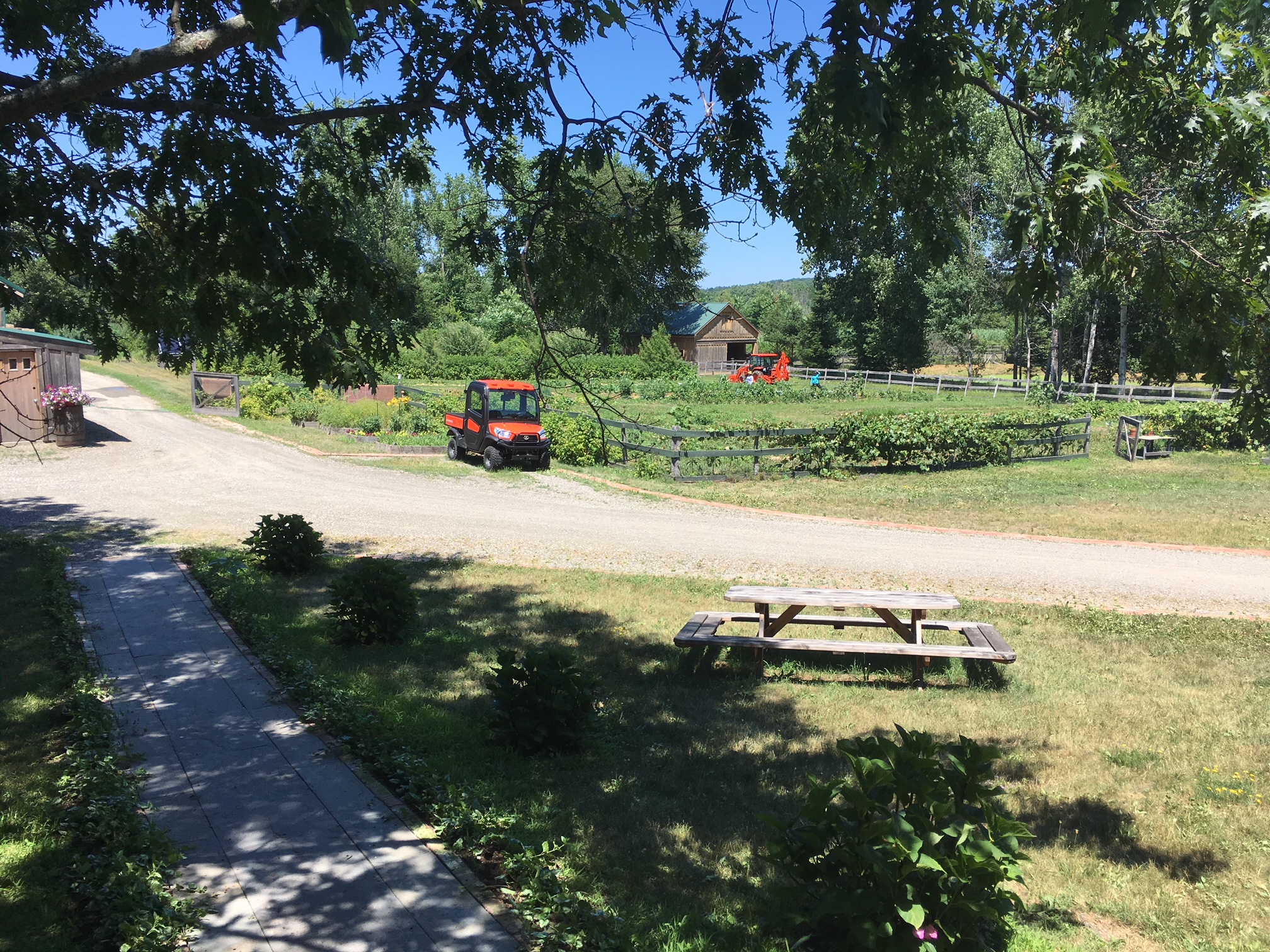 Gardens – with produce grown for those staff lunches