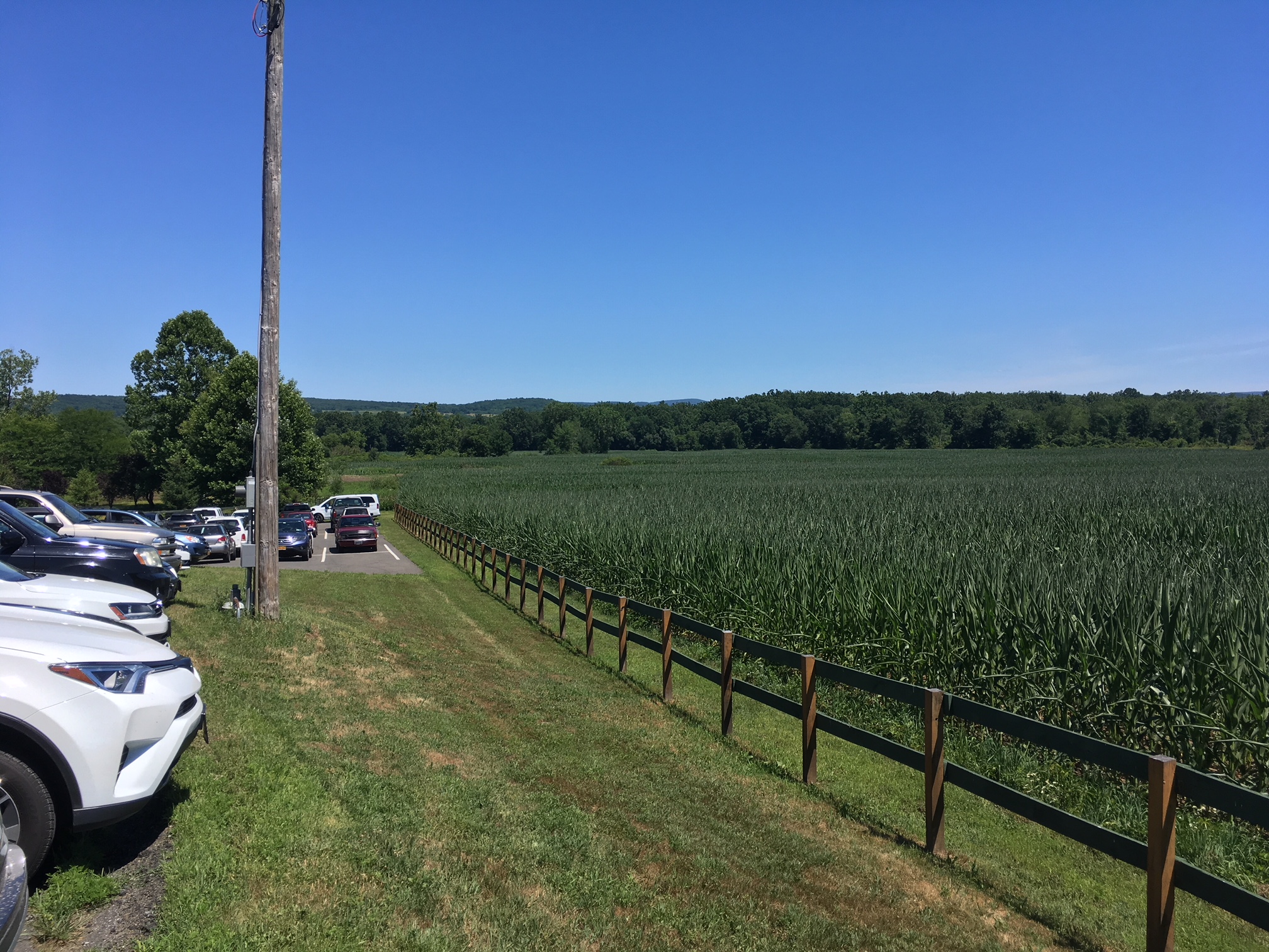 The surrounding grounds next to Tierra Farm