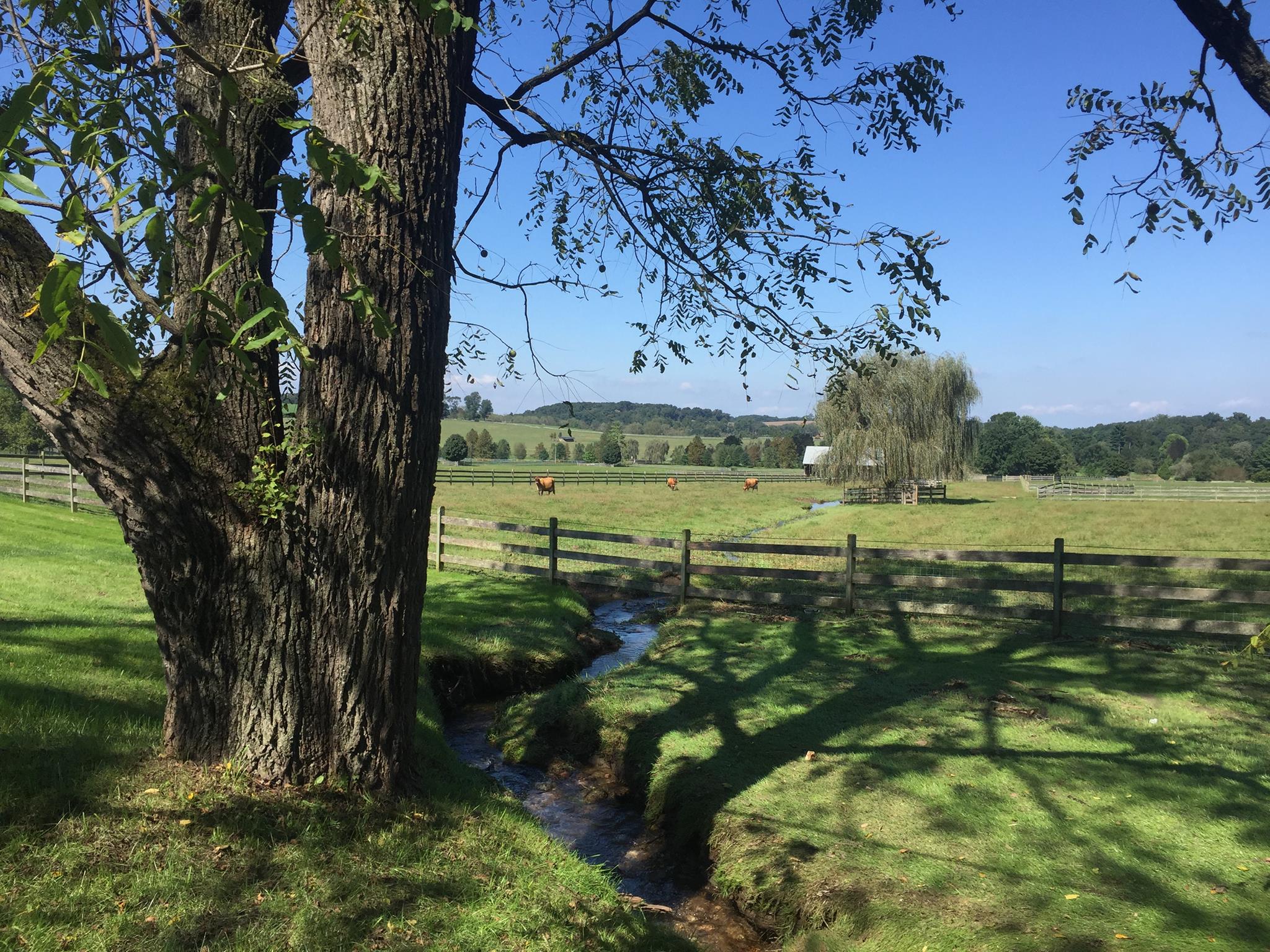 Farm at Doe Run