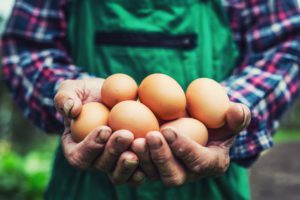 Eggs in Hand