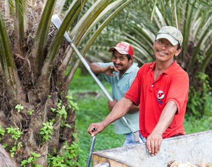 Palm Farmers