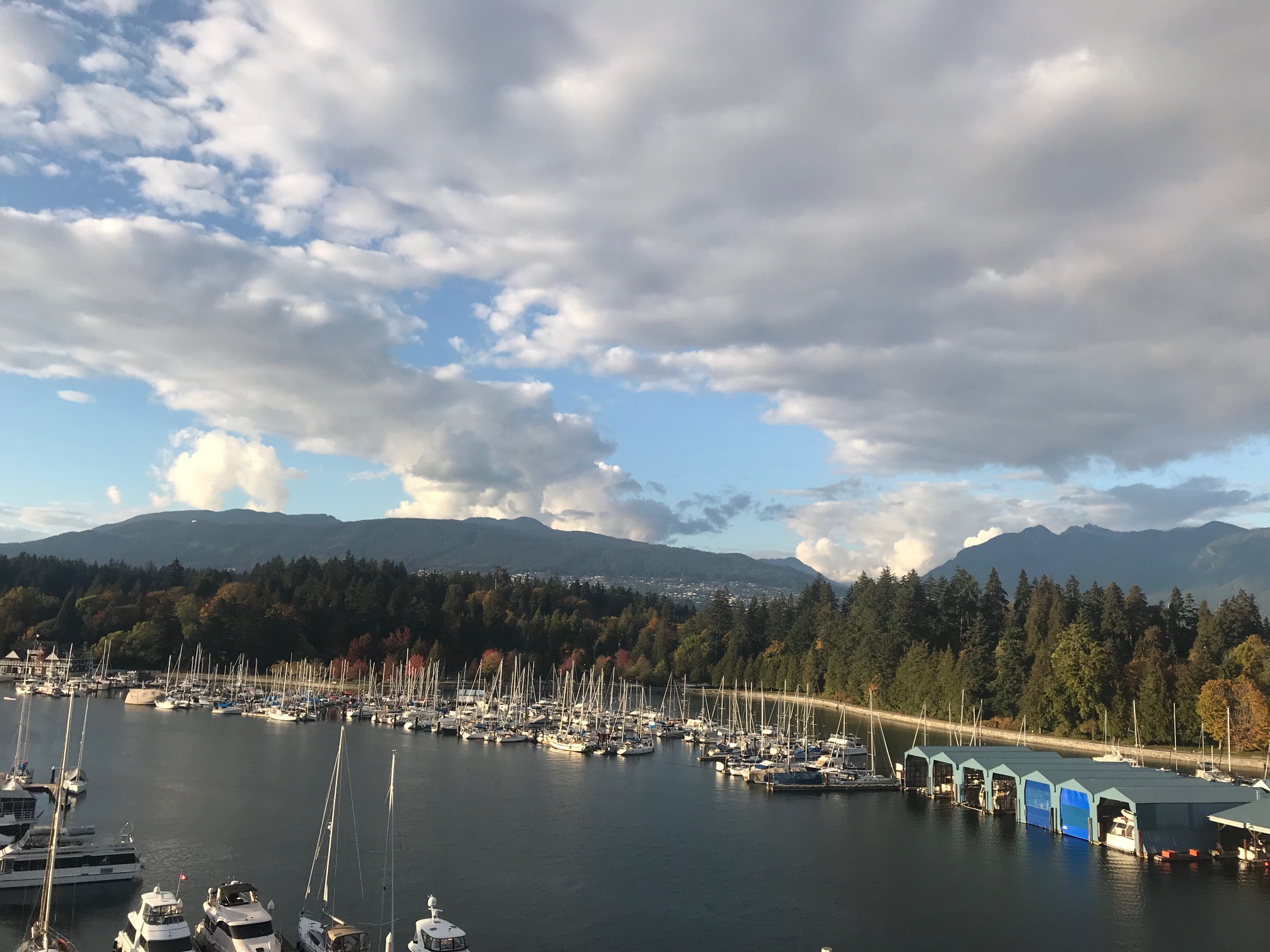 Vancouver Harbor