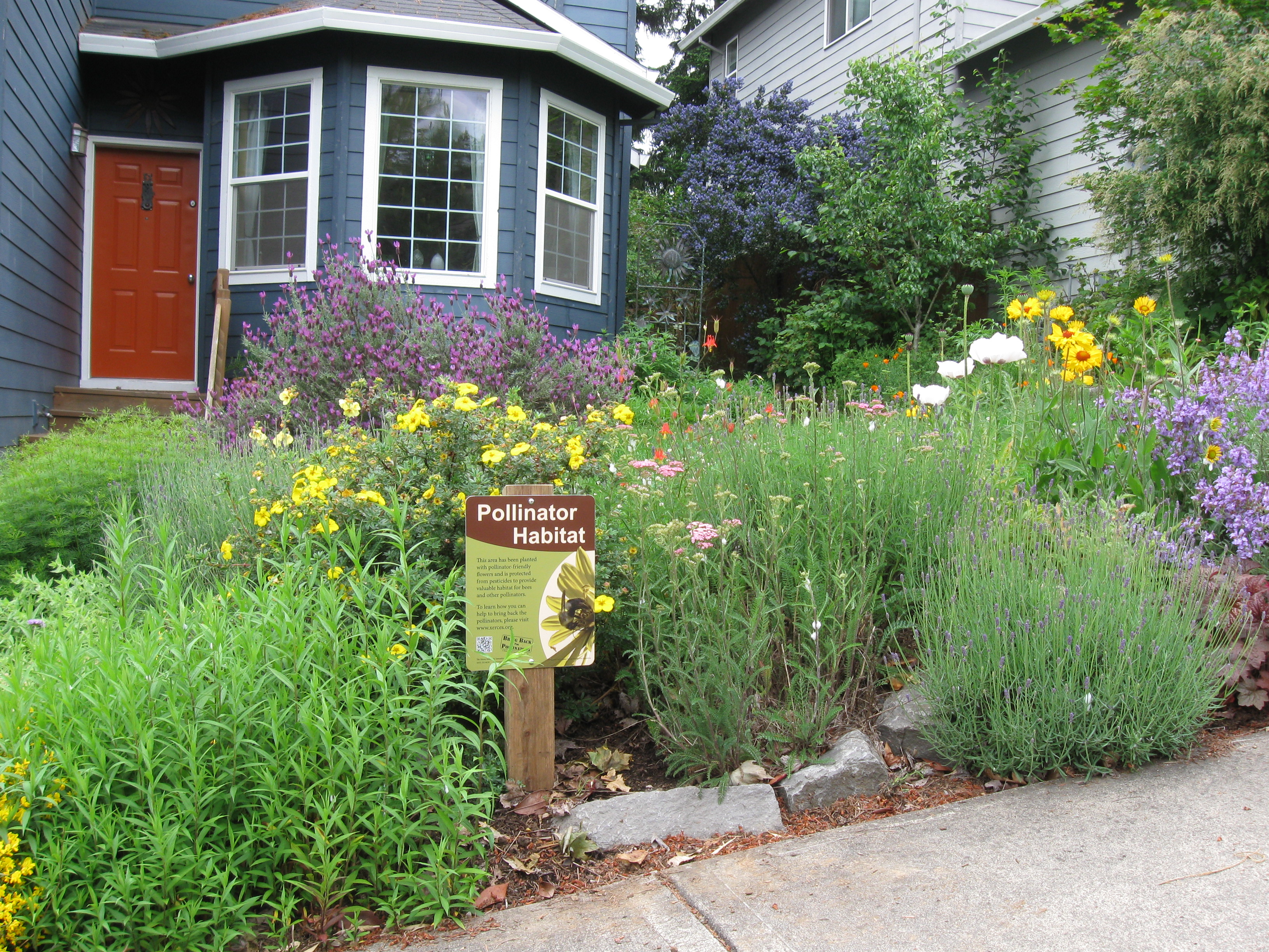 Pollinator Habitat