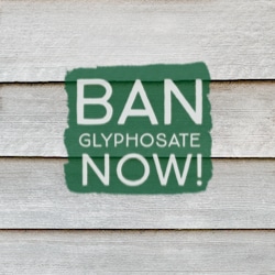 Ban Glyphosate Now