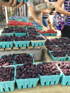 Berries Kennett Market