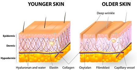 Younger and Older Skin