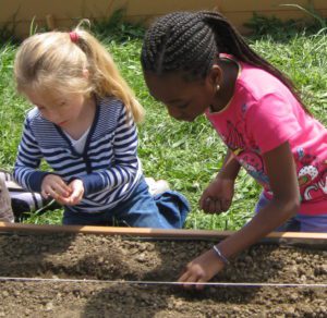 Kids Planting