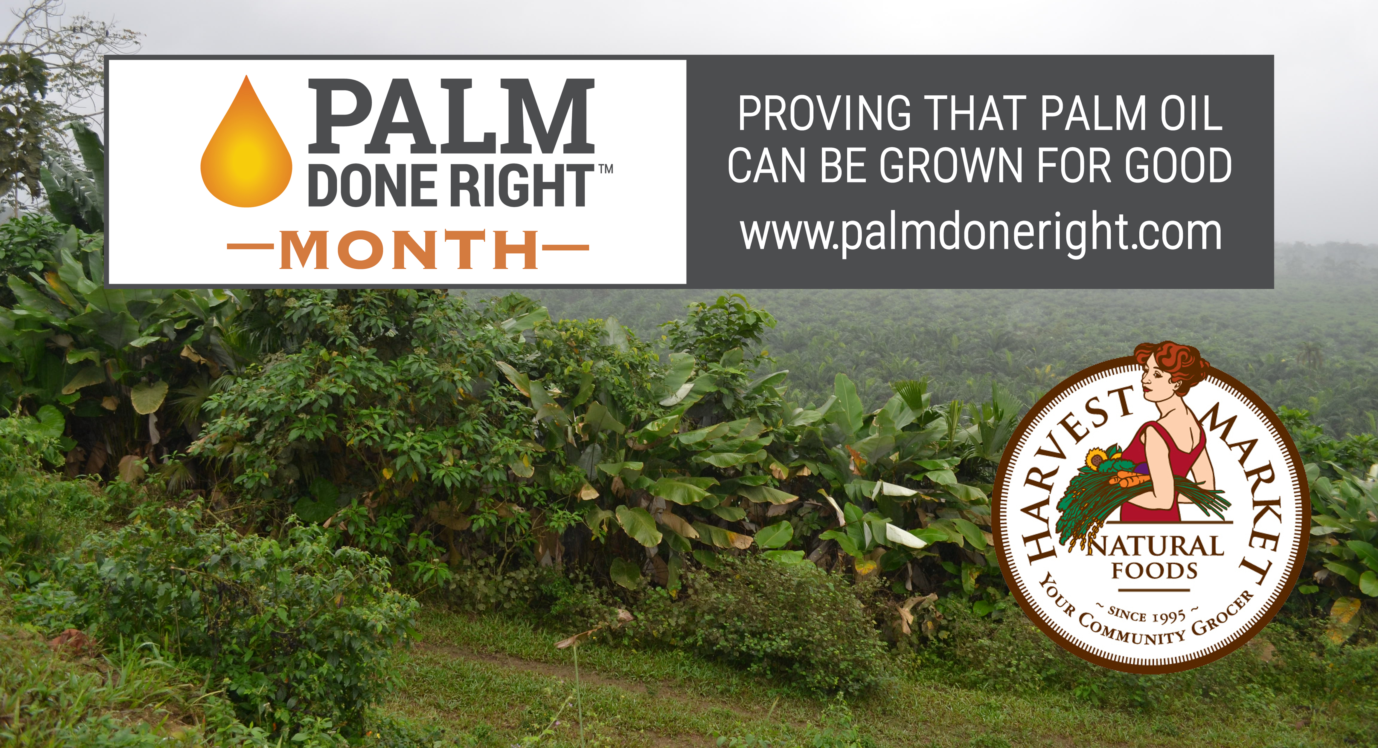 Palm Done Right Month 2019