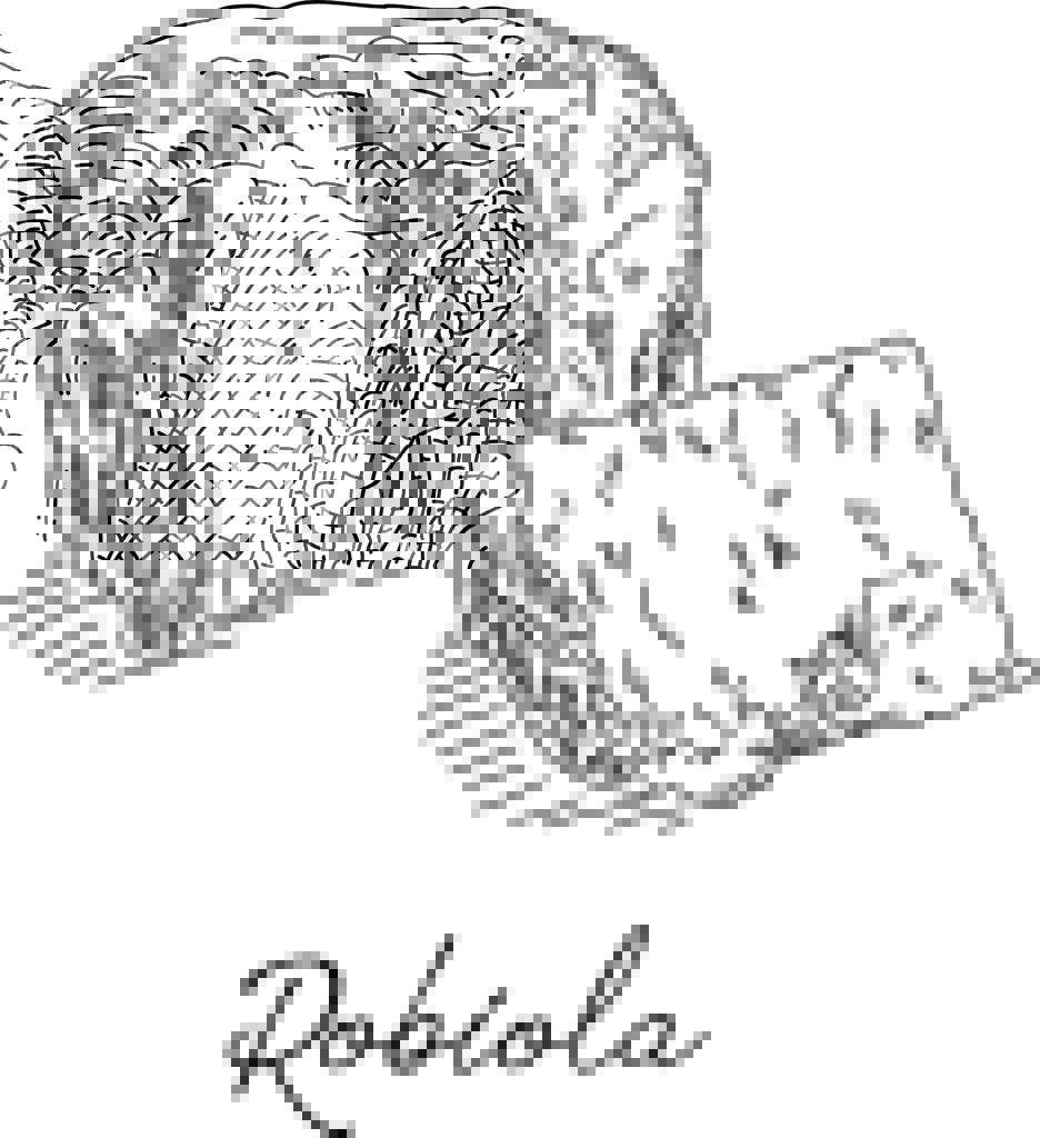 Robiola Cheese