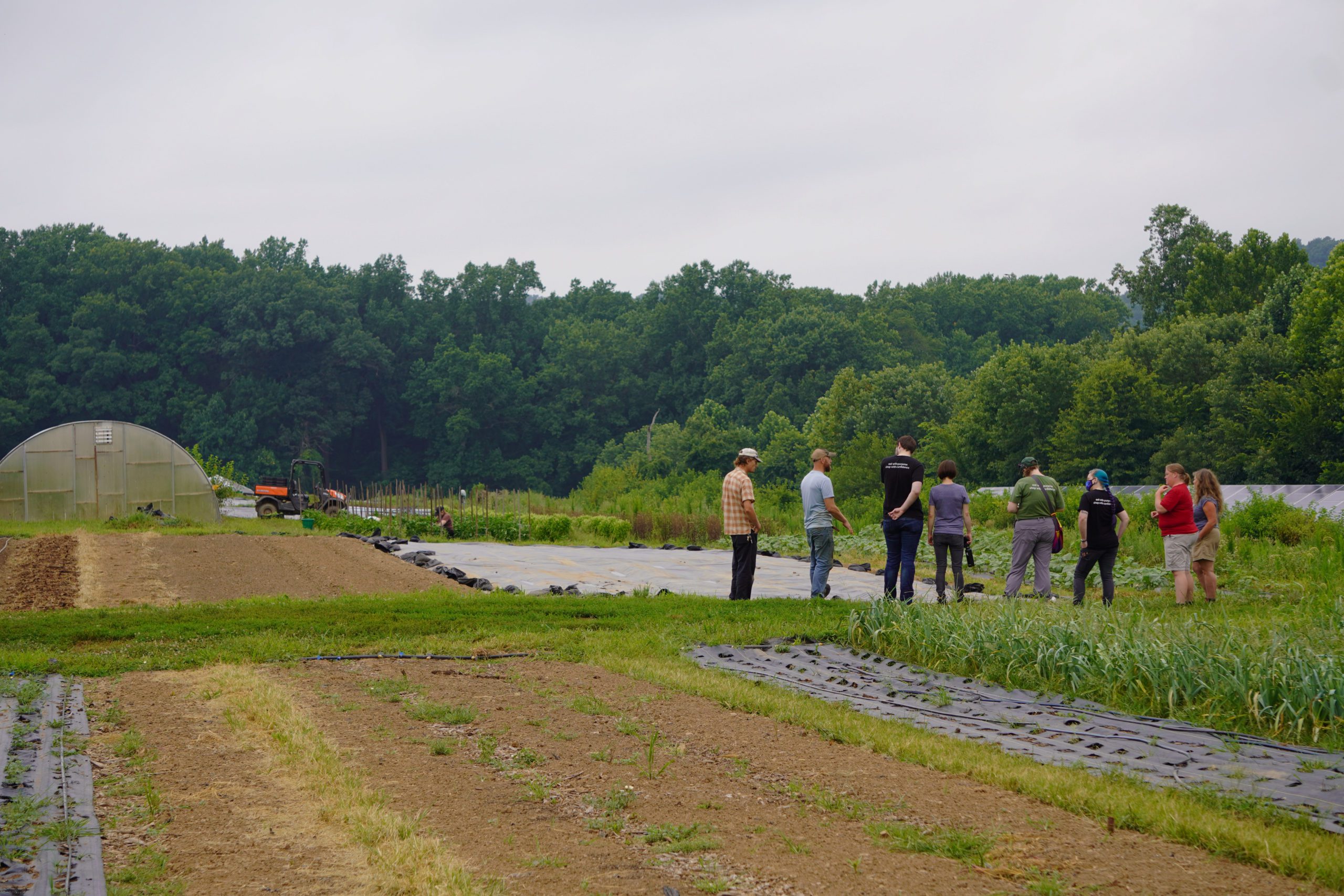 Coverdale Farm Tour in Fields