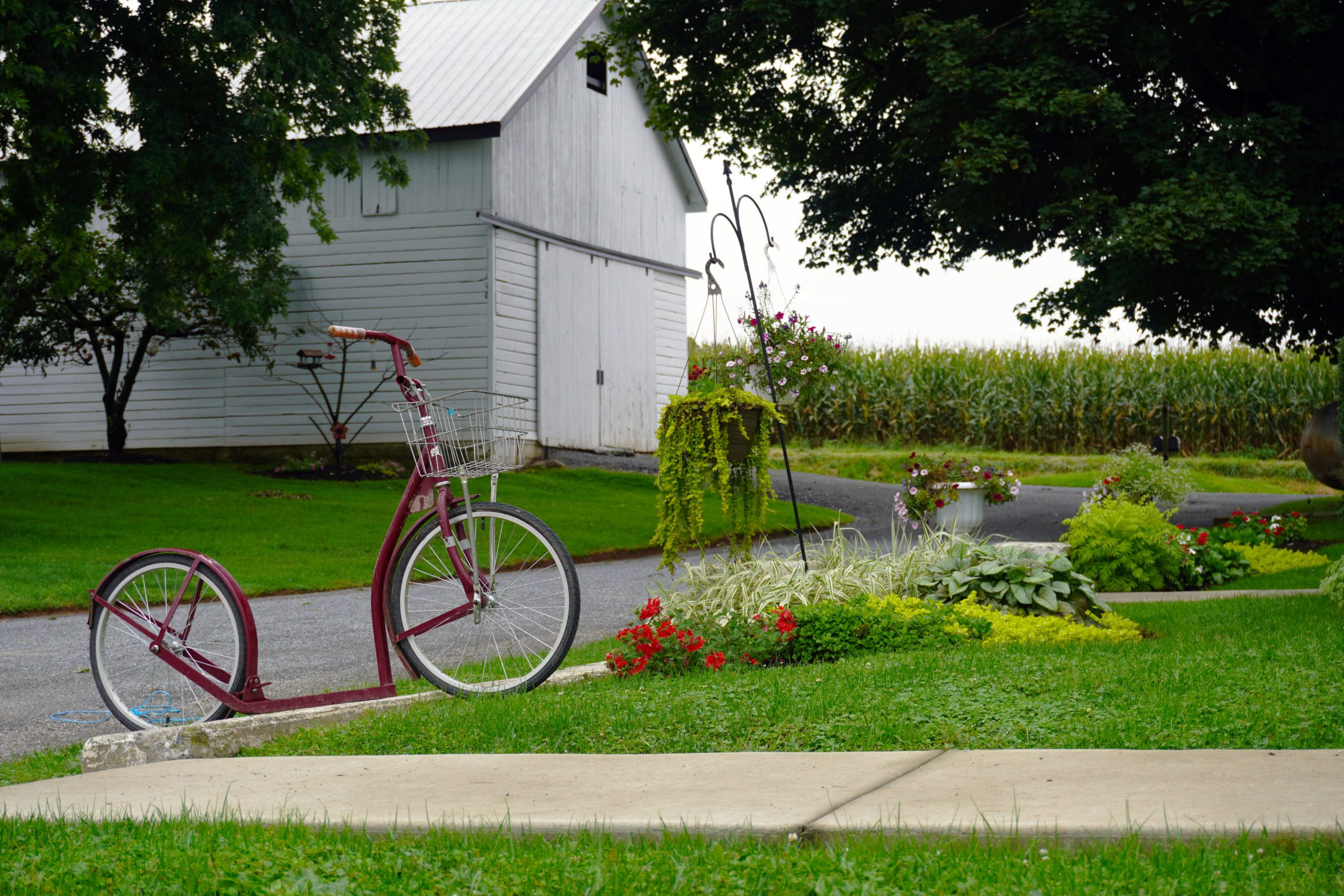 Peaceful Valley Bike and Barn