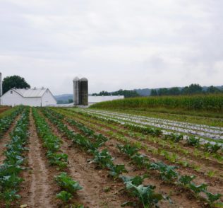 Peaceful Valley Fields and Barn